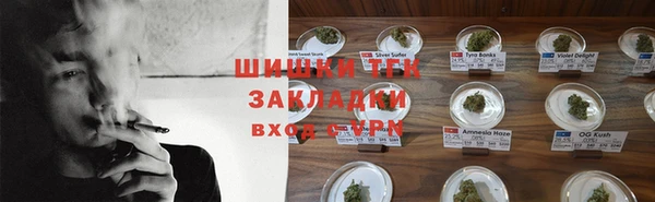 стафф Няндома